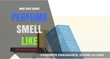 The Smell of Escape: A Perfume Review