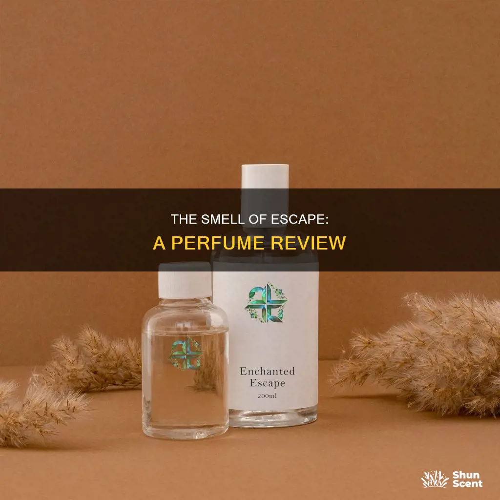 what does escape perfume smell like