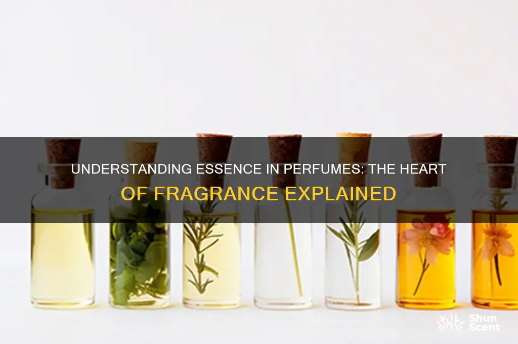 what does essence mean in perfume