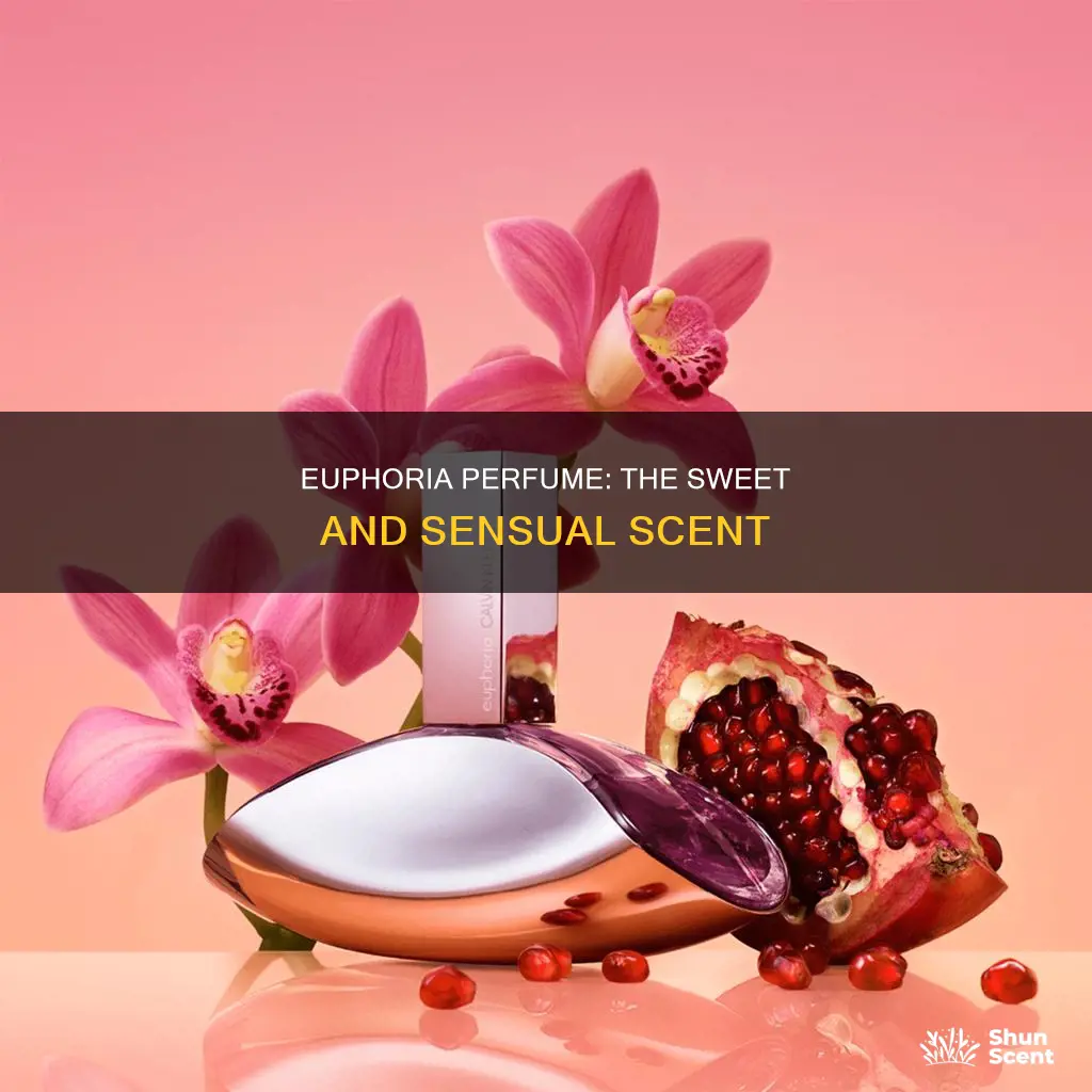 what does euphoria perfume smell like
