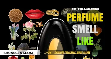 The Exclamation Perfume: A Scent That's Bold and Vibrant!