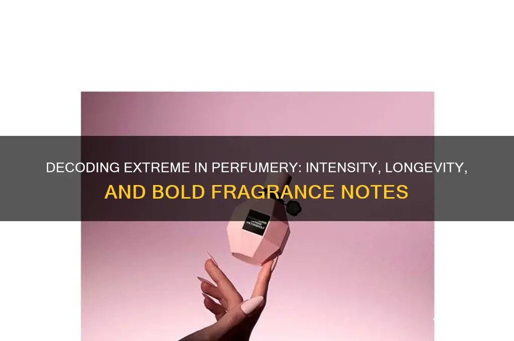 what does extreme mean in perfume