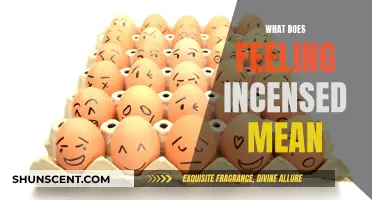 Incensed: Understanding the Nuances of This Powerful Emotion