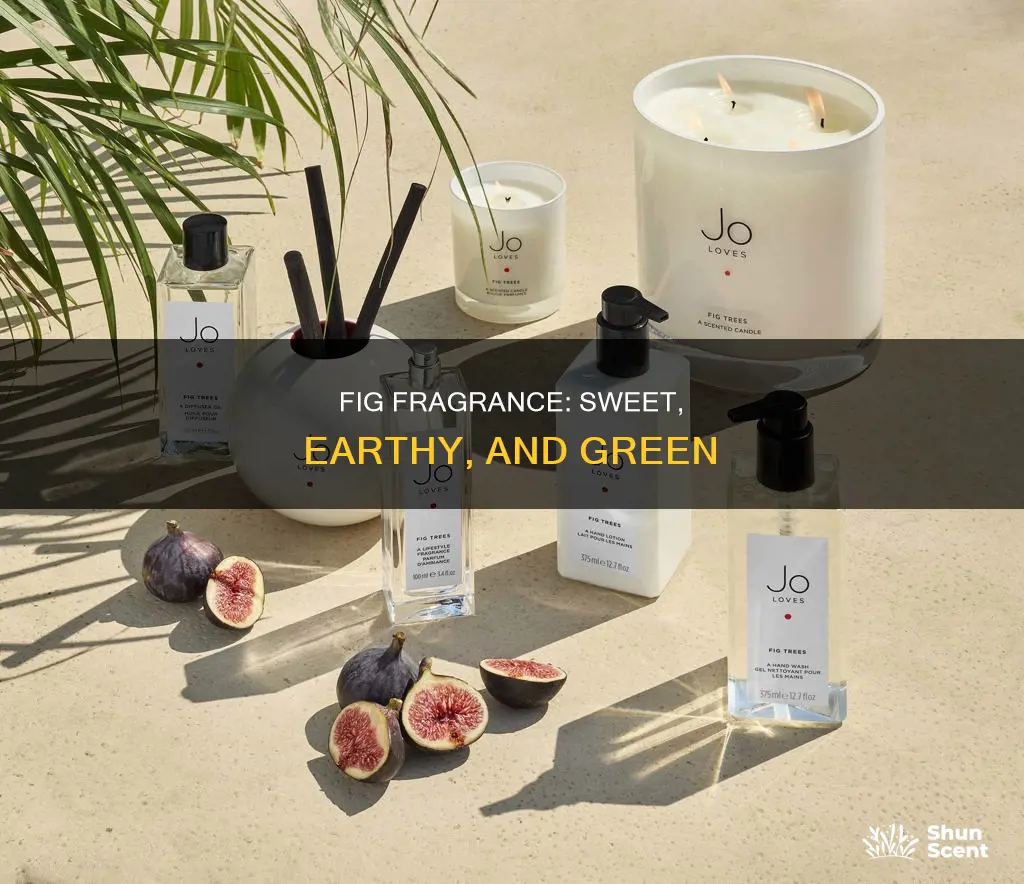 what does fig fragrance smell like
