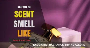 Unveiling the Enchanting Aroma: What Does Fig Scent Smell Like?