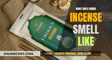 Firda's Incense: A Fragrant Journey to the Unknown