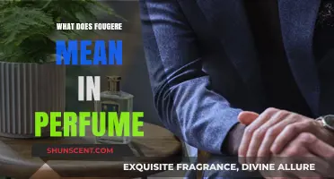 Understanding Fougère: The Classic Aromatic Fragrance Family in Perfumery