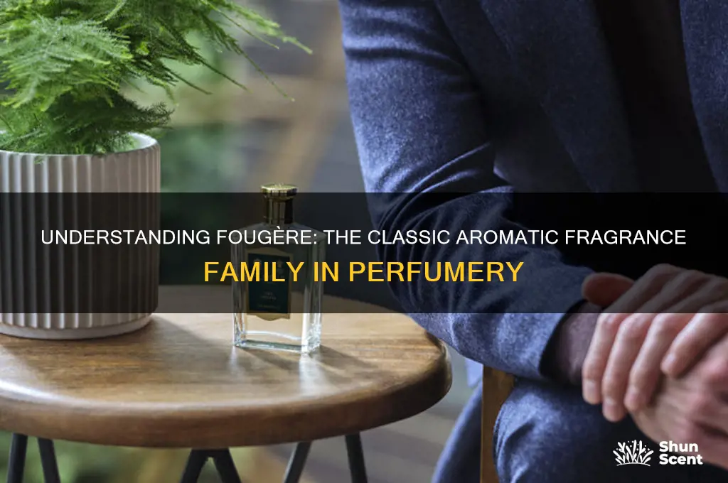 what does fougere mean in perfume