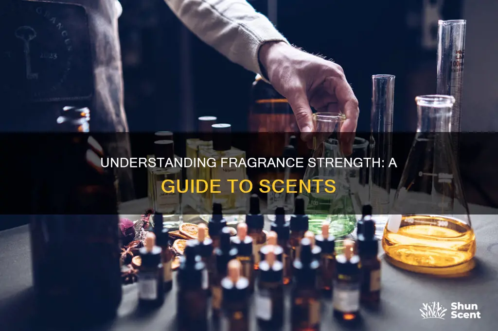 what does fragrance strength mean