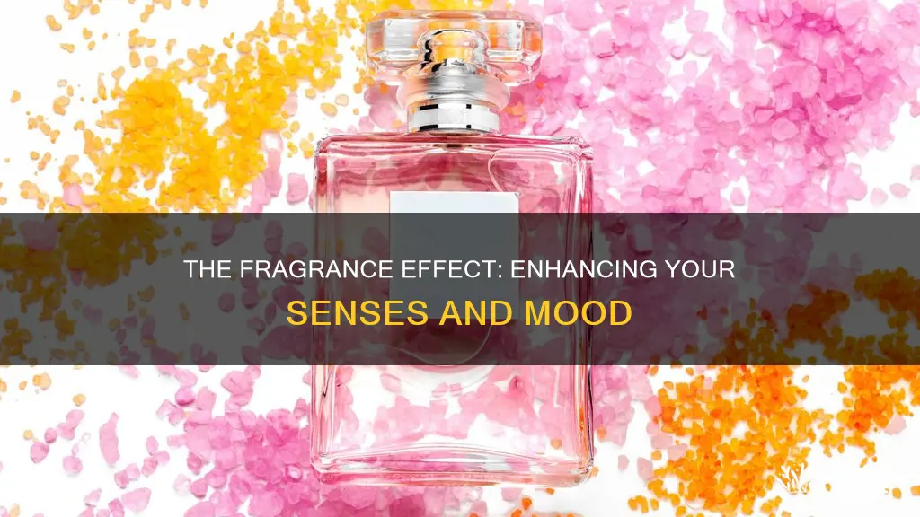 what does fragrances