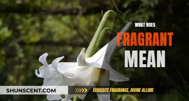 The Intriguing Meanings Behind the Word "Fragrant