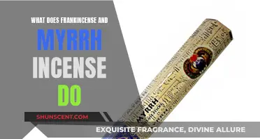 Frankincense and Myrrh: Ancient Scents for Mind and Soul