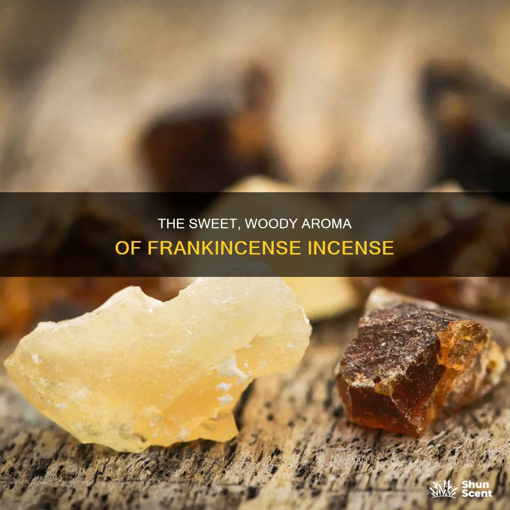 what does frankincense incense smell like