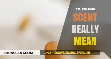 Unveiling the Essence: What Does a Fresh Scent Really Mean?
