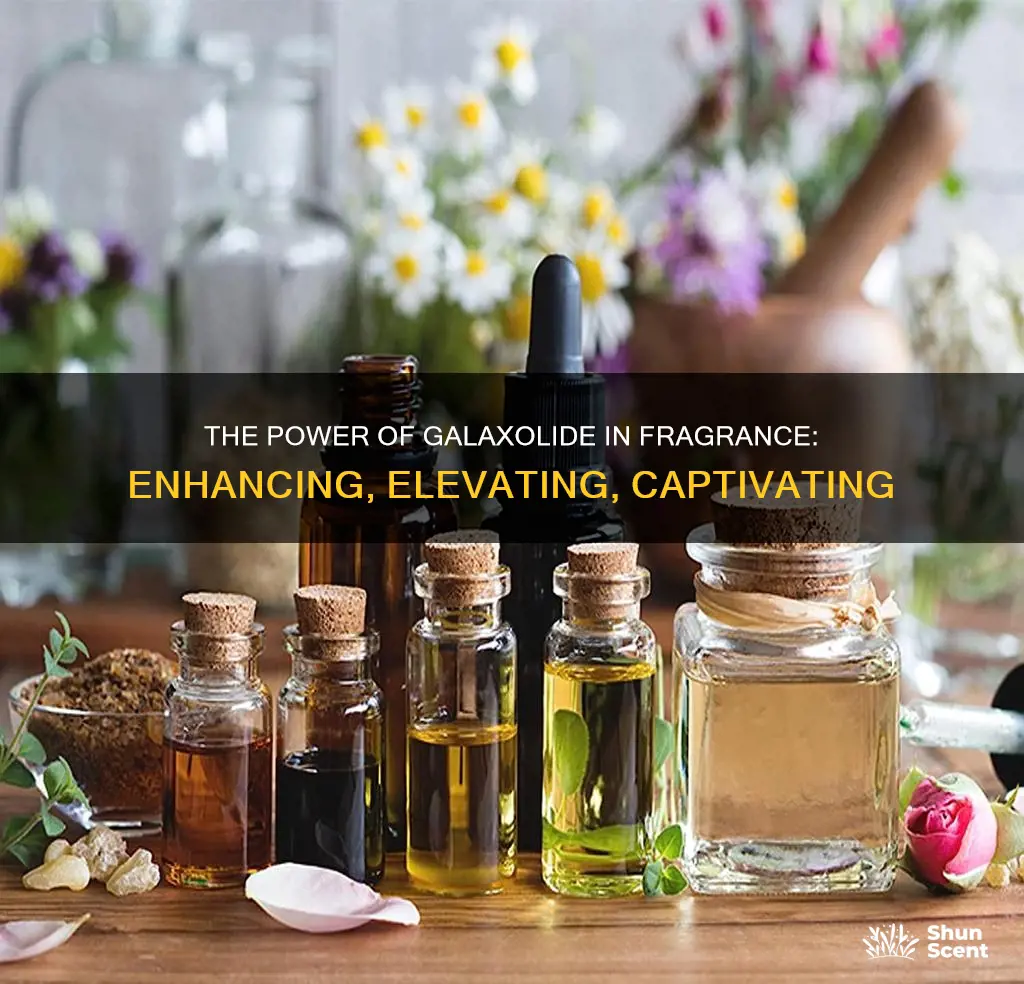 what does galaxolide do in fragrance
