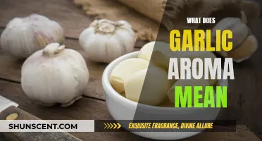 Garlic Aroma: Unlocking the Mystery of This Pungent Scent