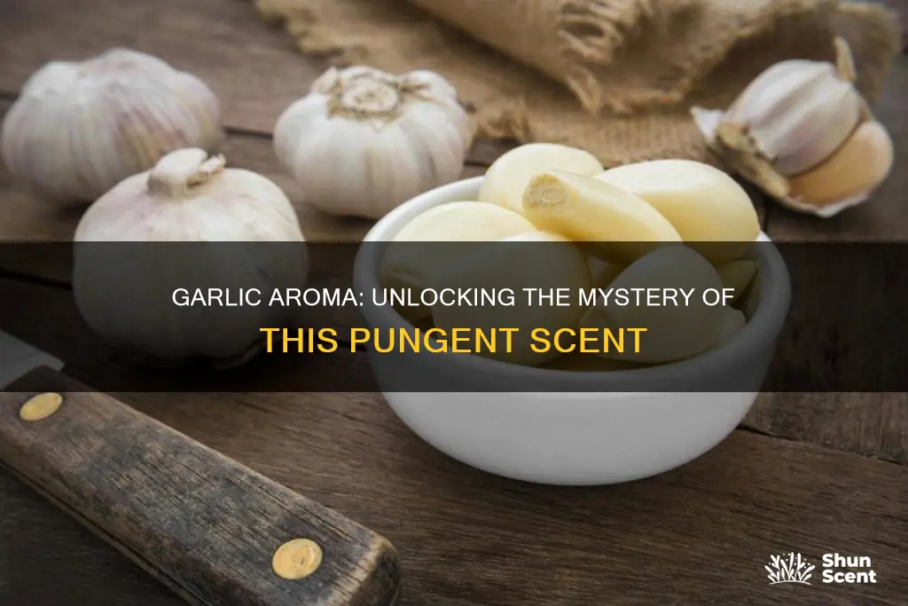 what does garlic aroma mean