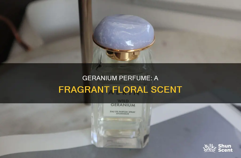 what does geranium smell like in perfume