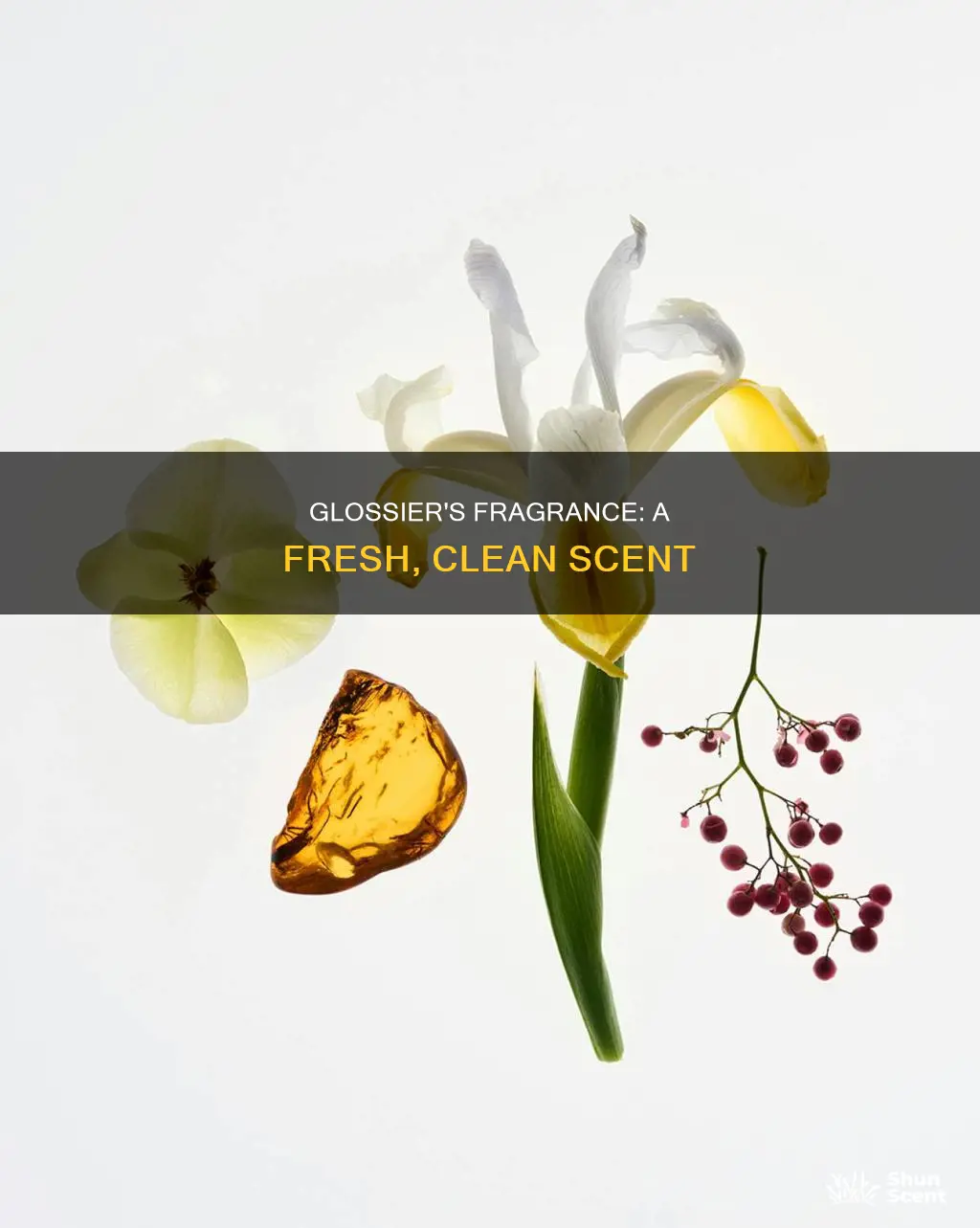 what does glossier perfume smell like