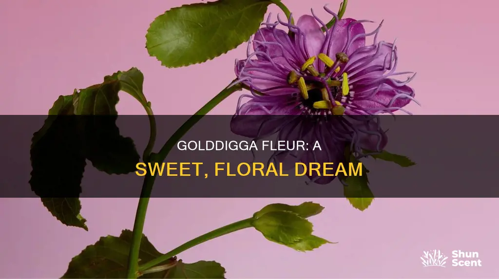 what does golddigga fleur perfume smell like
