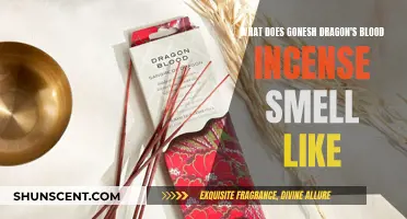 Unraveling the Mystical Scent of Gonesh Dragon's Blood Incense