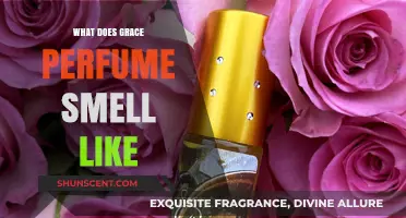 The Grace Perfume: A Fragrance of Poise and Elegance