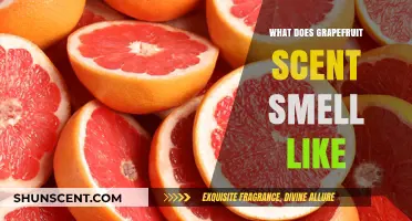 Unveiling the Unique Aroma: What Does Grapefruit Scent Smell Like?