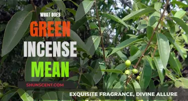 Green Incense: Its Meaning and Symbolism Explained