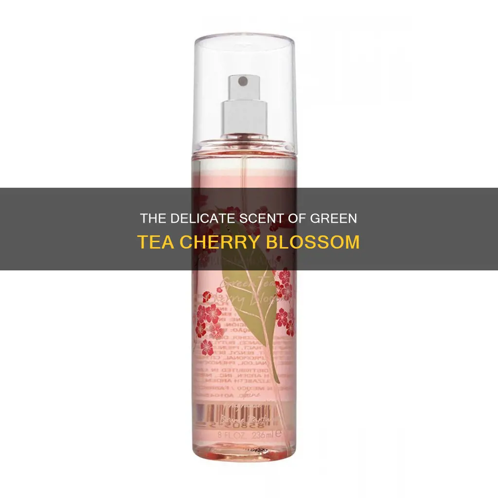 what does green tea cherry blossom perfume smell like