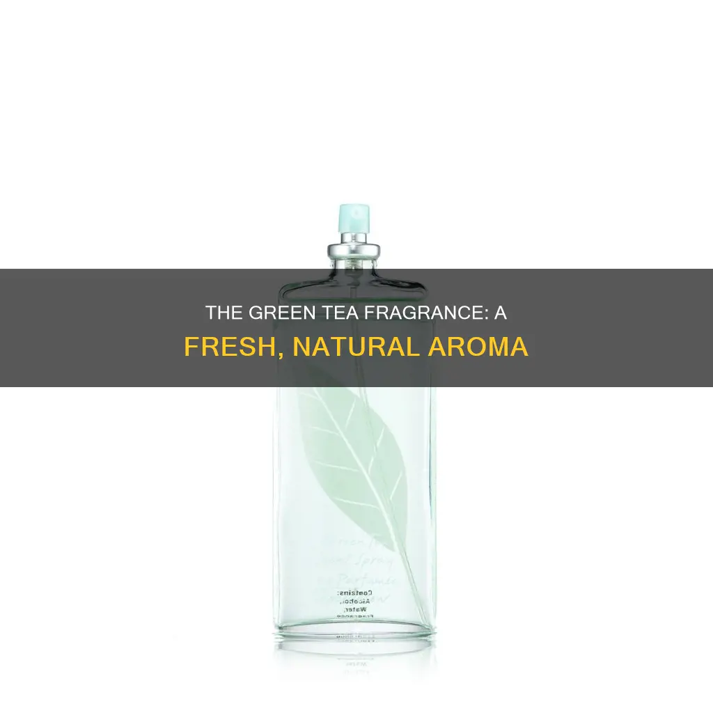 what does green tea fragrance smell like