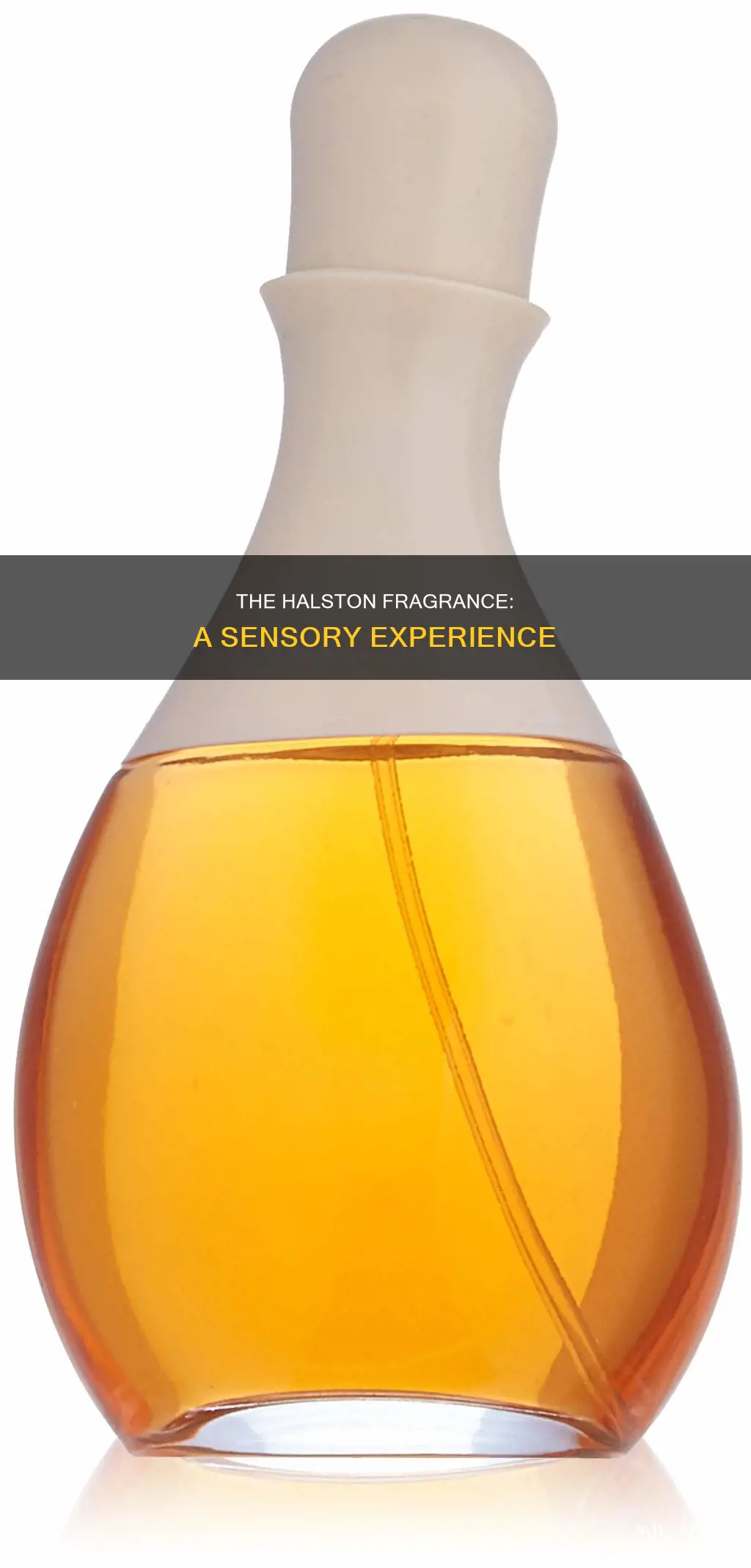 what does halston fragrance smell like