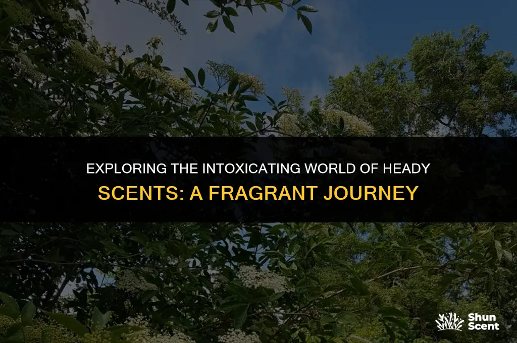 what does heady scent
