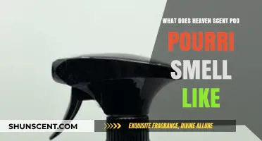 Discovering the Divine Aroma: What Does Heaven Scent Poo Pourri Smell Like?