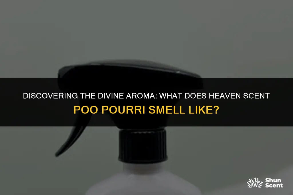 what does heaven scent poo pourri smell like