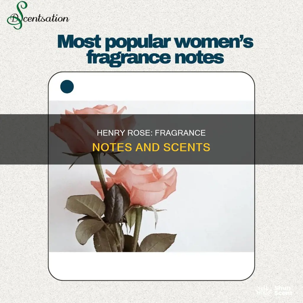 what does henry rose perfume smell like