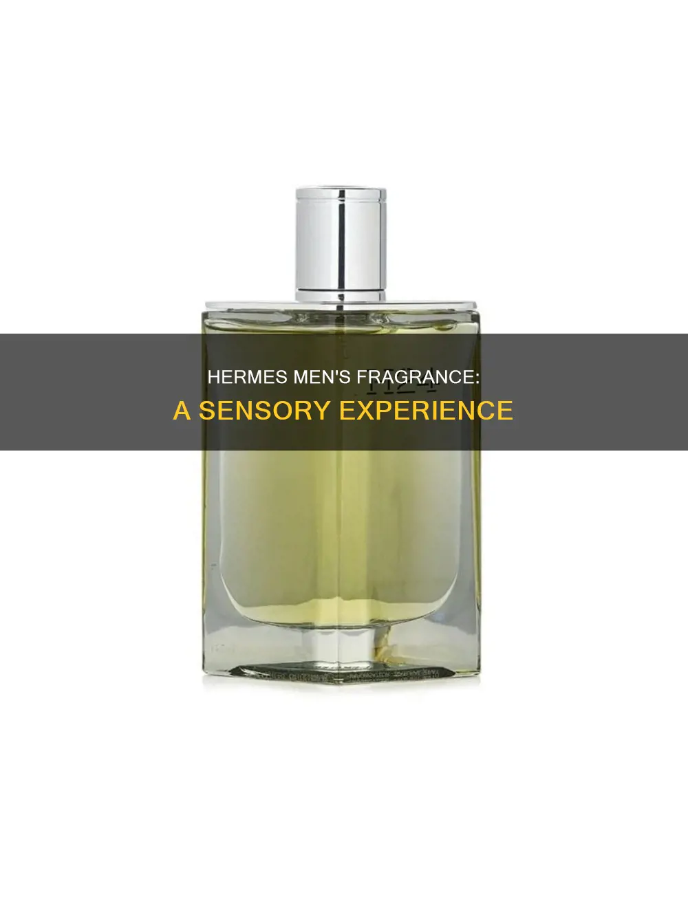 what does hermes perfume for men smell like