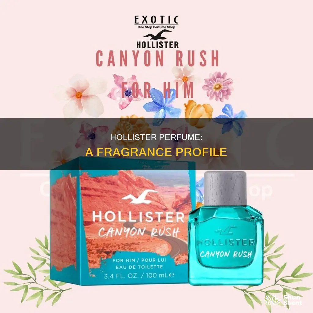 what does hollister perfume smell like