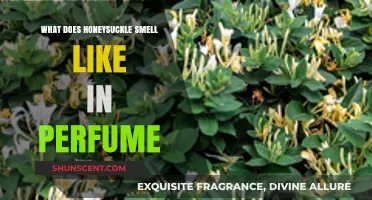 The Sweet Smell of Honeysuckle in Perfumes