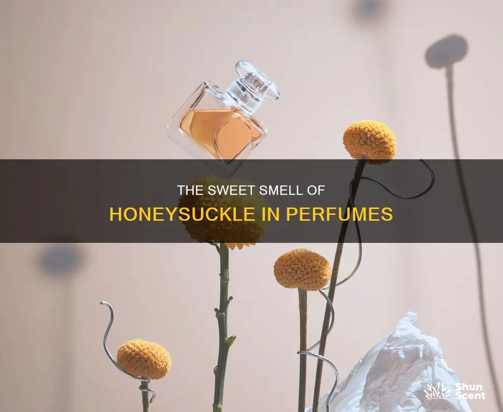 what does honeysuckle smell like in perfume