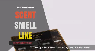 Unveiling the Unique Notes of Human Scent: A Fragrant Mystery