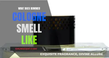 The Alluring Scent of Hummer Cologne: A Review