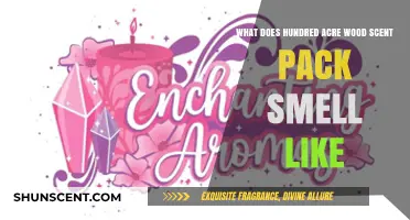 Enchanting Aromas: Unveiling the Hundred Acre Wood Scent Pack