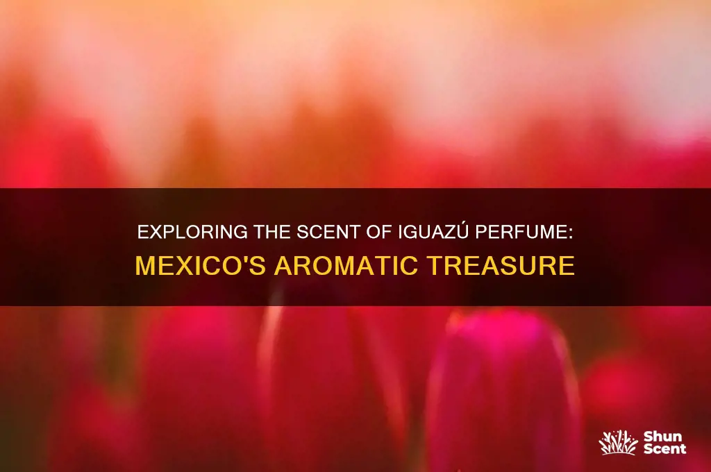 what does iguazù perfume mexico