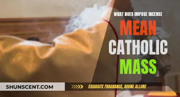 Incense Imposed During Catholic Mass: Meaning and Symbolism