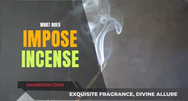 Imposing Incense: Ancient Rituals, Modern Relaxation Techniques