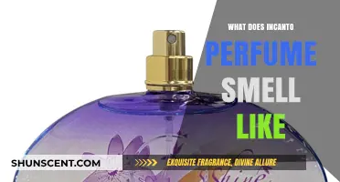 Incanto Perfume: A Magical Scent of Fruity and Floral Notes