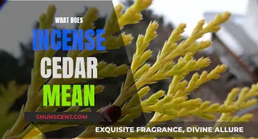 Incense Cedar: Understanding the Tree's Cultural Significance and Uses