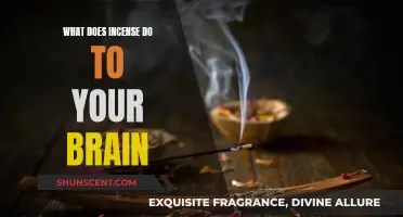 Incense and the Brain: How Scents Affect Your Mind