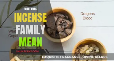 Incense Family: Understanding the Scents and Their Meanings