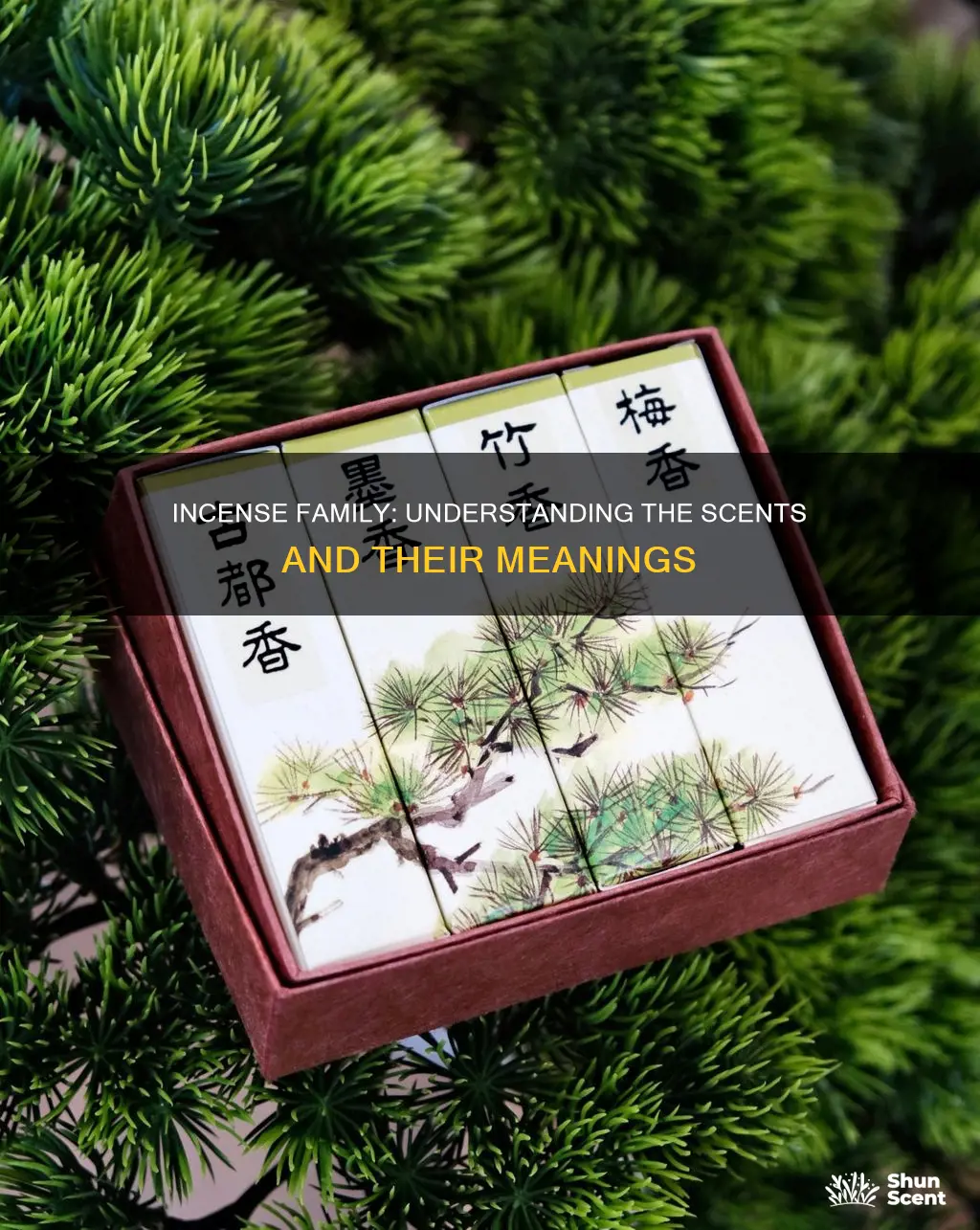 what does incense family mean